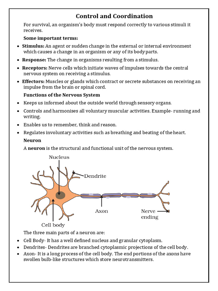 Control and Coordination in Organisms | PDF | Central Nervous System ...