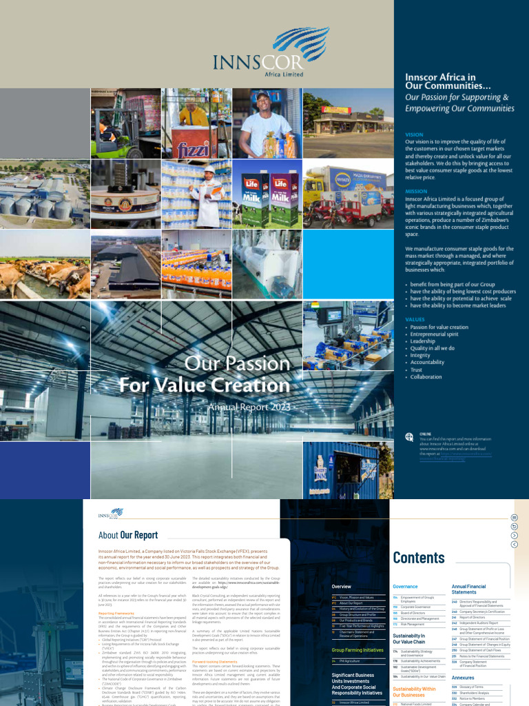Innscor Africa Limited Annual Report 2023 | PDF | Business