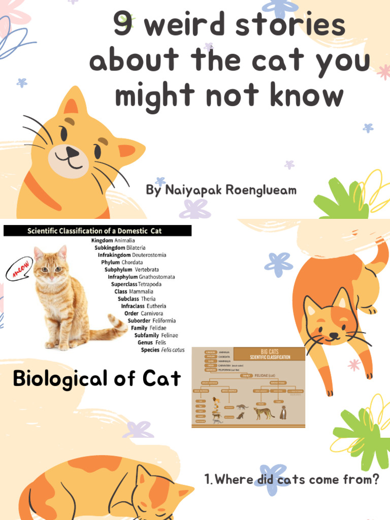 9 Fascinating Cat Facts You Didn't Know | PDF