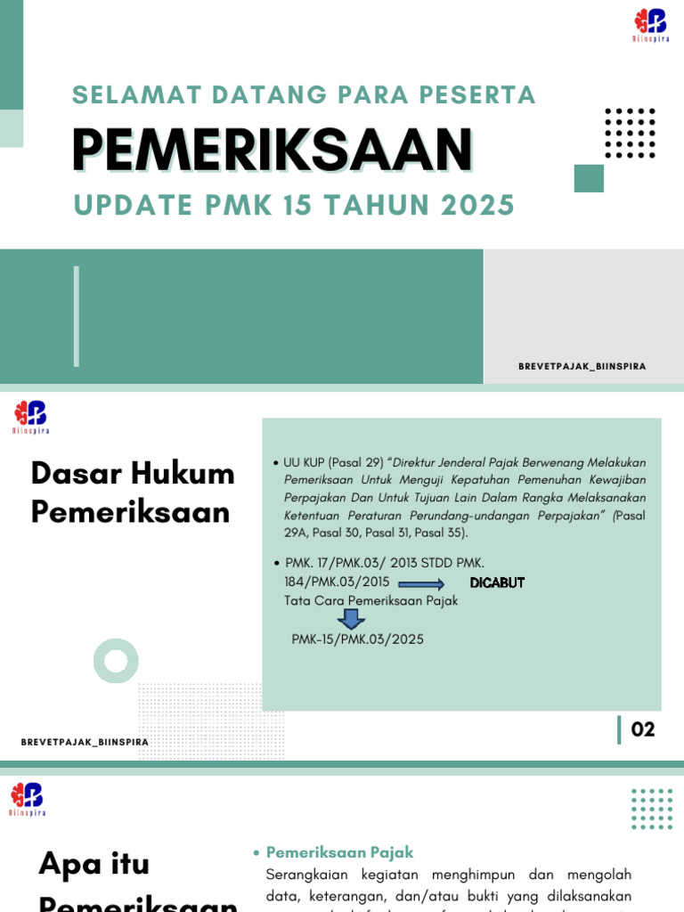 Panduan Pemeriksaan Pajak 2025 | PDF