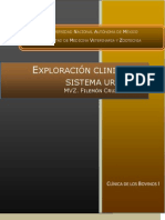 Exploracion Clinica Del Sistema Urinario