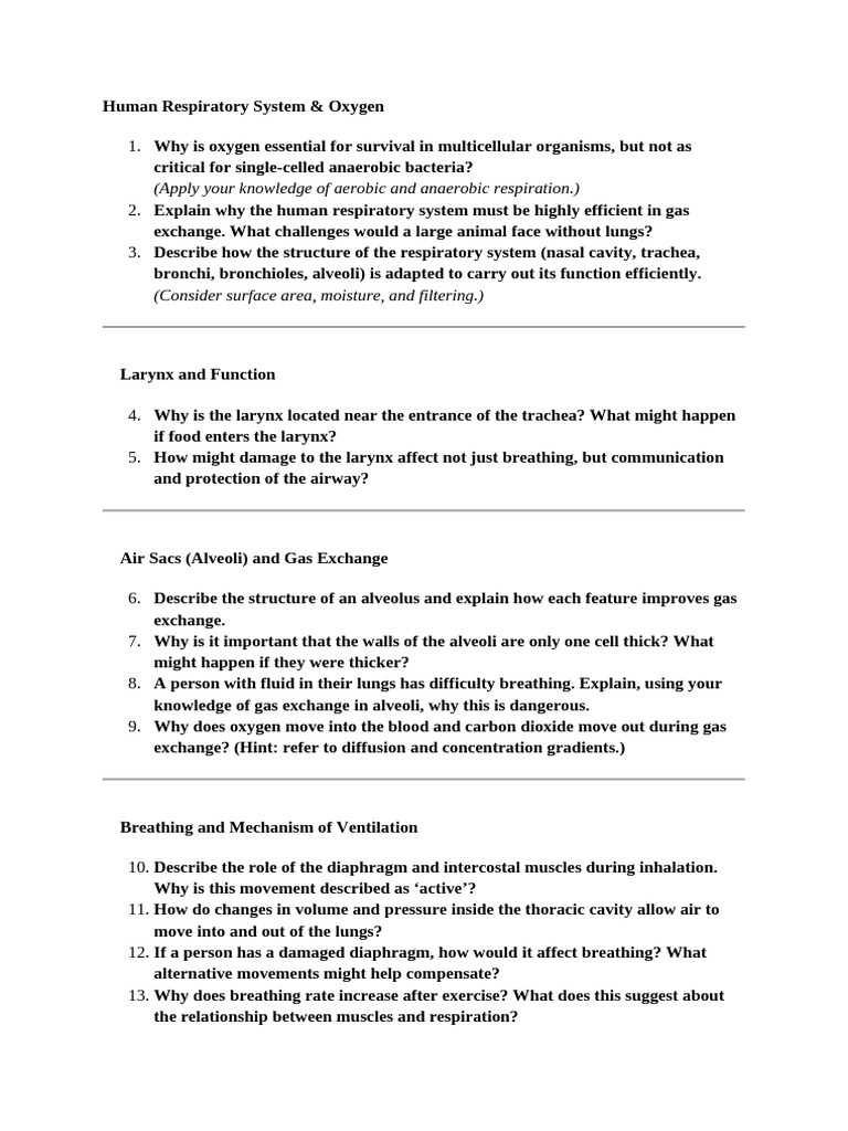 Revision Worksheet G7 | PDF | Respiratory System | Breathing