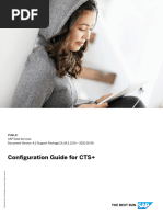 CPI Transports and The CTS - Process | PDF | Software Engineering ...