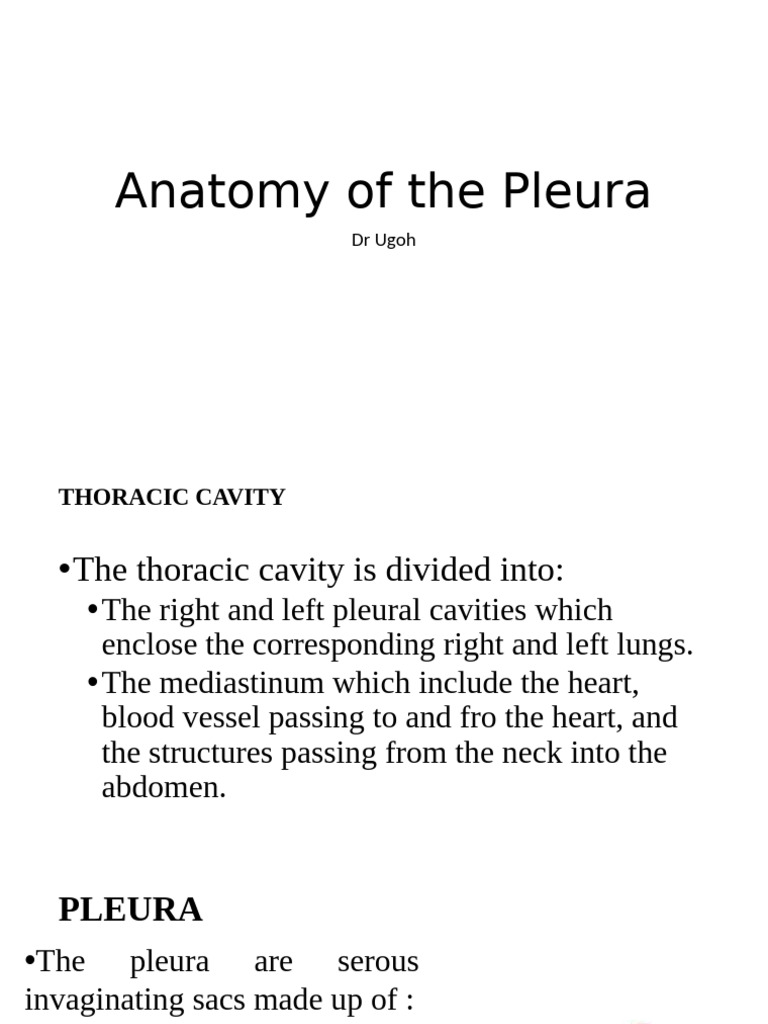 Anatomy and Function of the Pleura | PDF | Lung | Thorax (Human Anatomy)