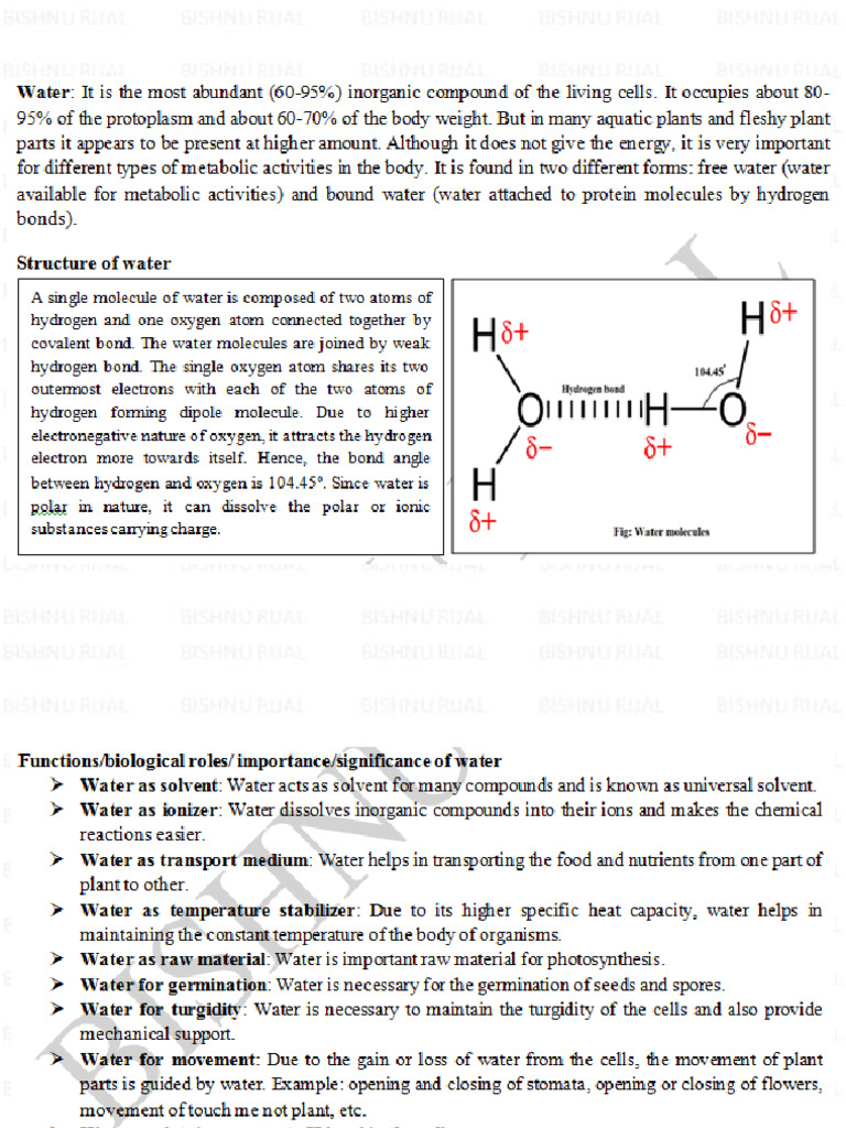 Understanding Plant Water Relations | PDF | Stoma | Osmosis