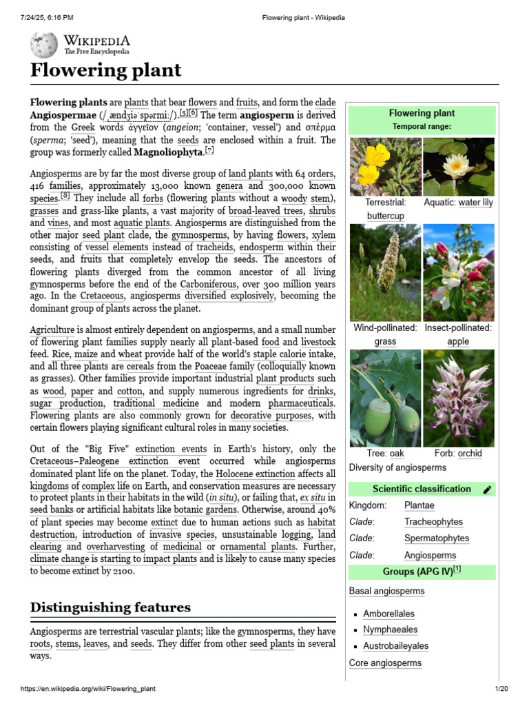 Flowering Plant - Wikipedia | PDF | Plant Morphology | Biology