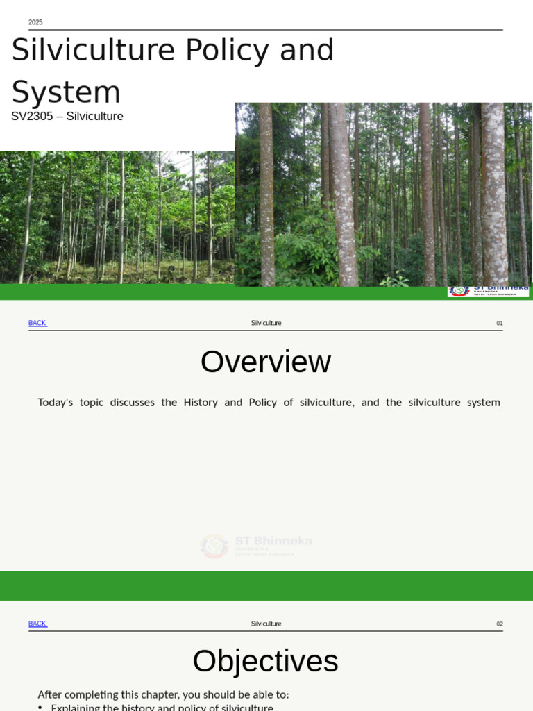 Minggu 1 | PDF | Forest Management | Forests
