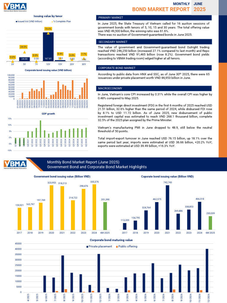 Vietnam Bond Market Report June 2025 | PDF | Bonds (Finance) | Open ...