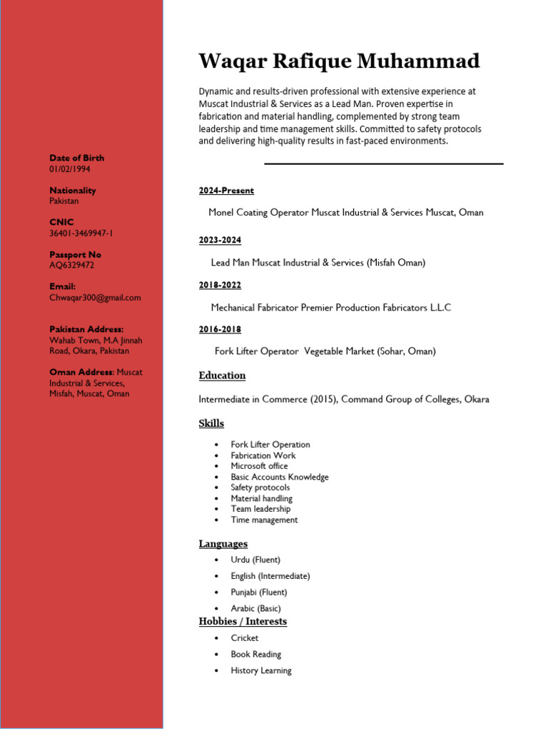 Waqar Rafique Muhammad: Professional Profile | PDF