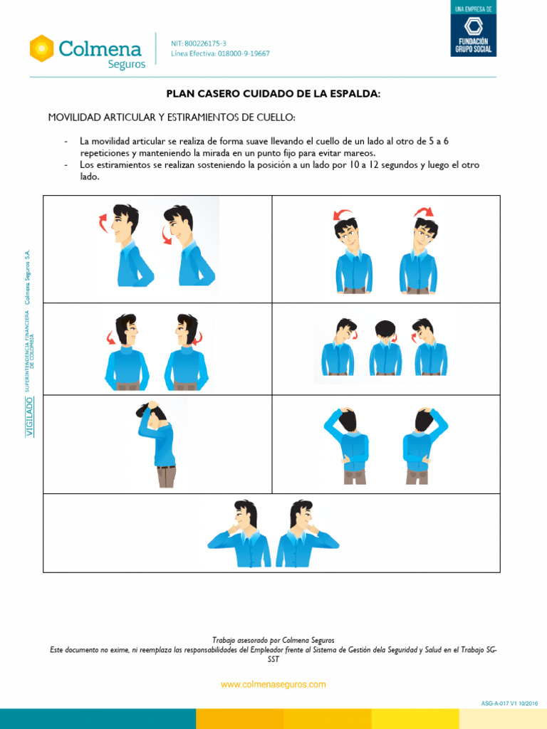 Plan Casero Cuidado de La Espalda | PDF | Sistema musculoesquelético