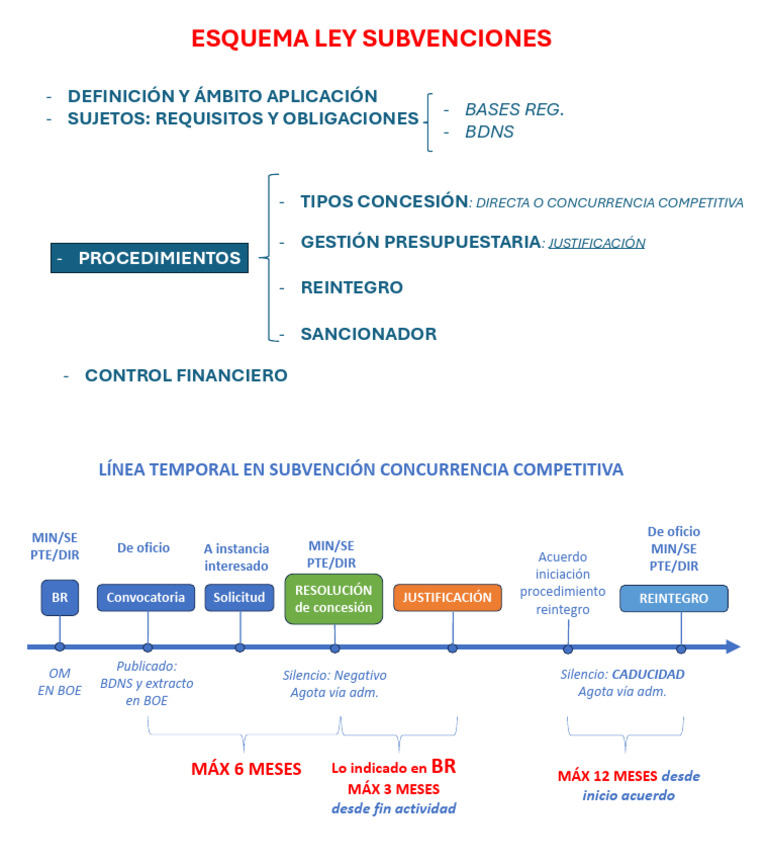 Esquema Ley General de Subvenciones | PDF