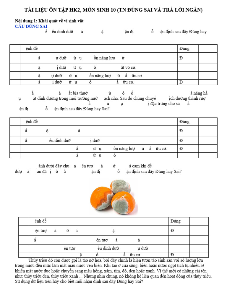 Tl Tn Đúng Sai Và Trả Lời Ngắn | PDF