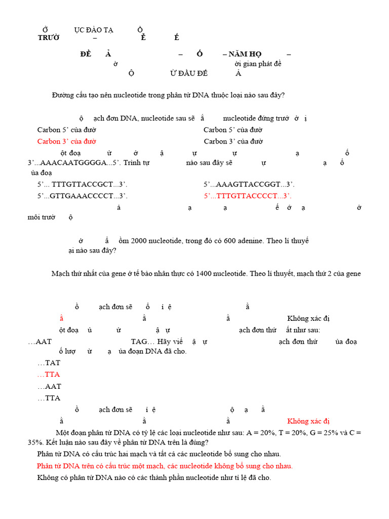 1 Den Tai Ban - NK | PDF