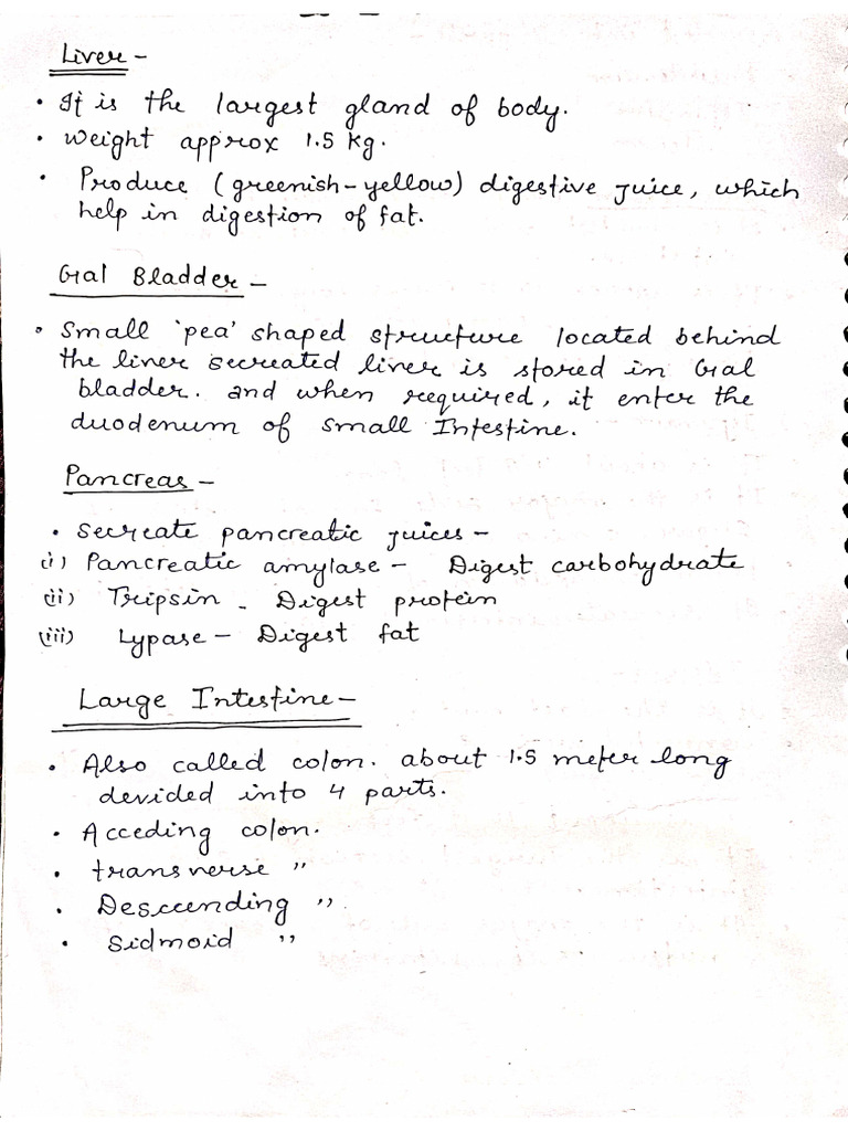 H.a.P, Final Notes ? R.I.P | PDF