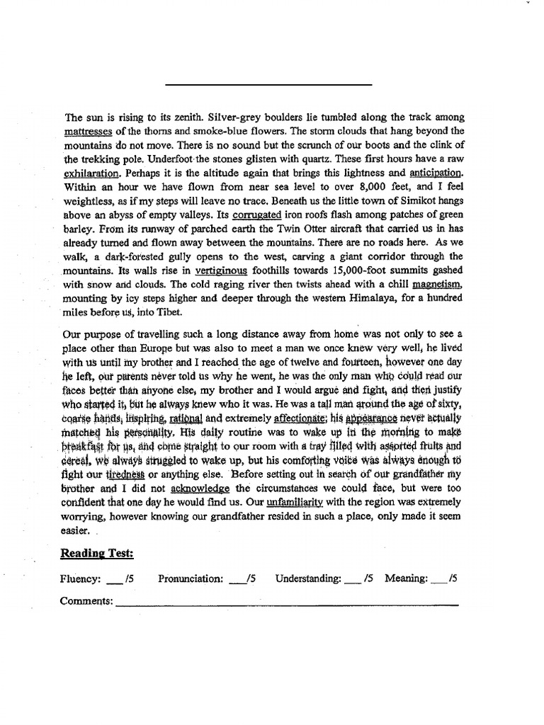 Year 8 Comprehension I | PDF