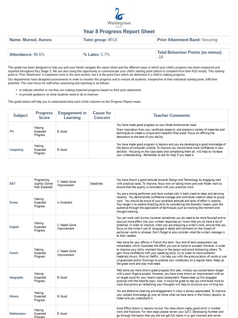 Year 8 Progress Report Overview | PDF | Teachers | Learning