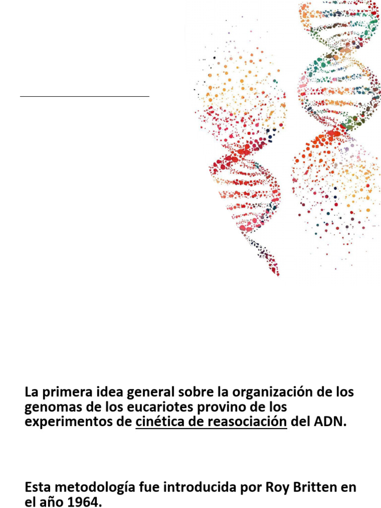 Organización y Cinética del Genoma Eucariota | PDF | Cromatina | Cáncer