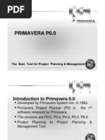 Primavera P6.0: The Best Tool For Project Planning & Management