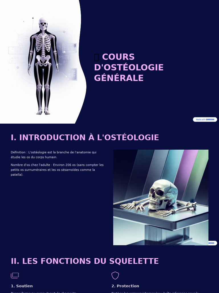 Introduction à l'ostéologie générale | PDF | Os | Système squelettique