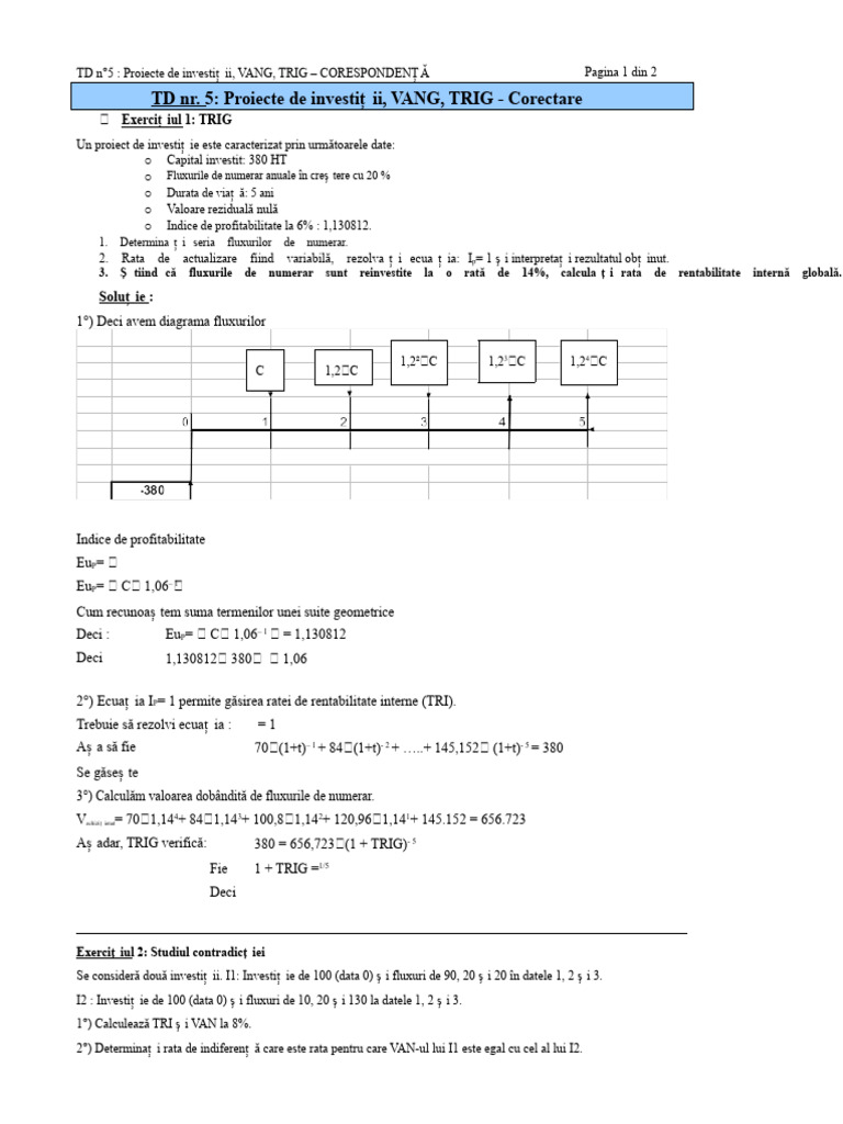 Fisa-TD 5 Proiecte Investiții VANG TRIG-corect | PDF