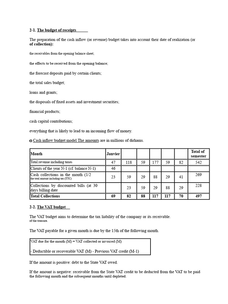 Budget Overview: Cash and VAT Analysis | PDF | Budget | Taxes