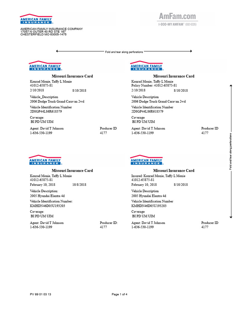 Missouri Insurance Card Details | PDF | Pickup Truck | Vehicle Technology