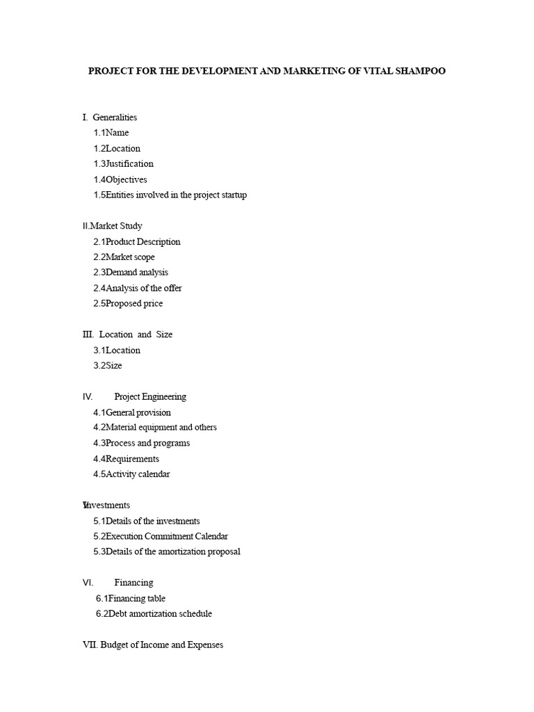 Vital Shampoo Project Overview and Marketing | PDF | Internal Rate Of ...