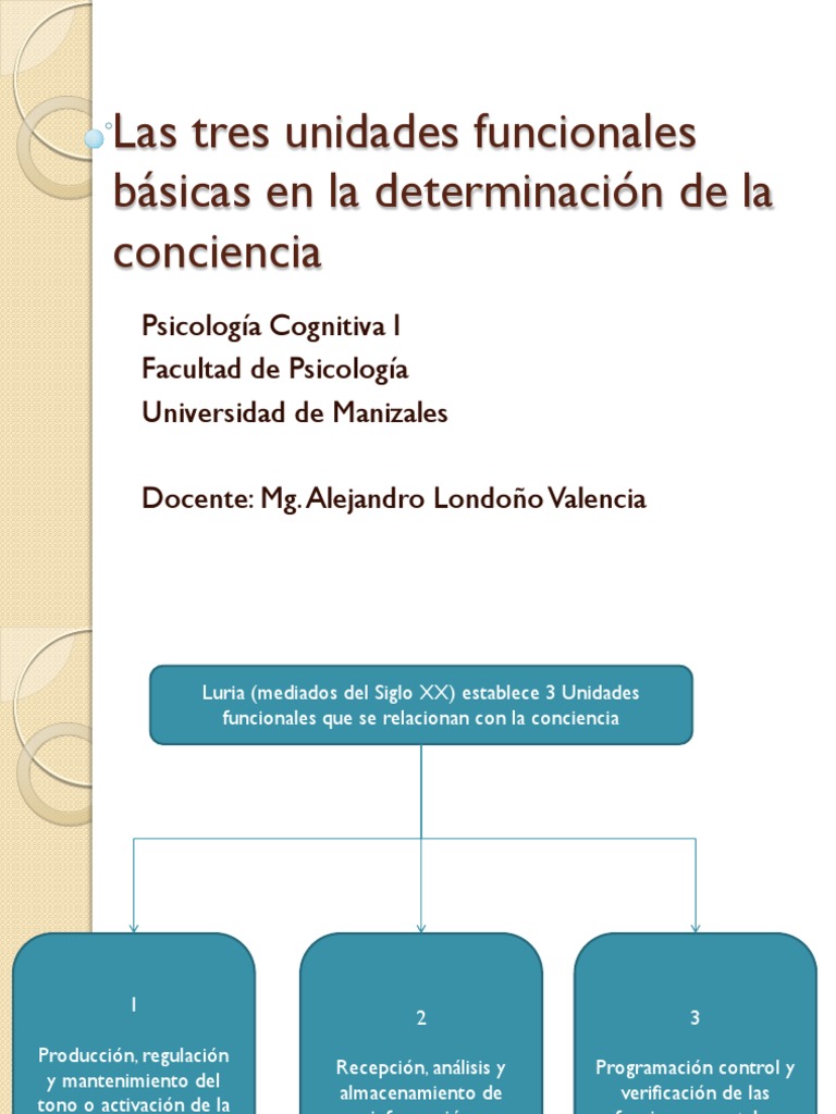 3 Unidades Funcionales de Luria | PDF | Corteza cerebral | Tálamo