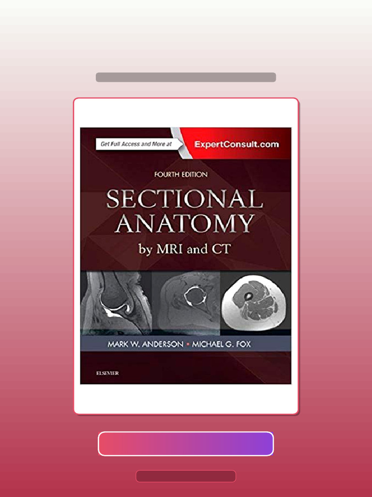 Sectional Anatomy by MRI and CT 4th Edition eBook and TestBank Bundle ...