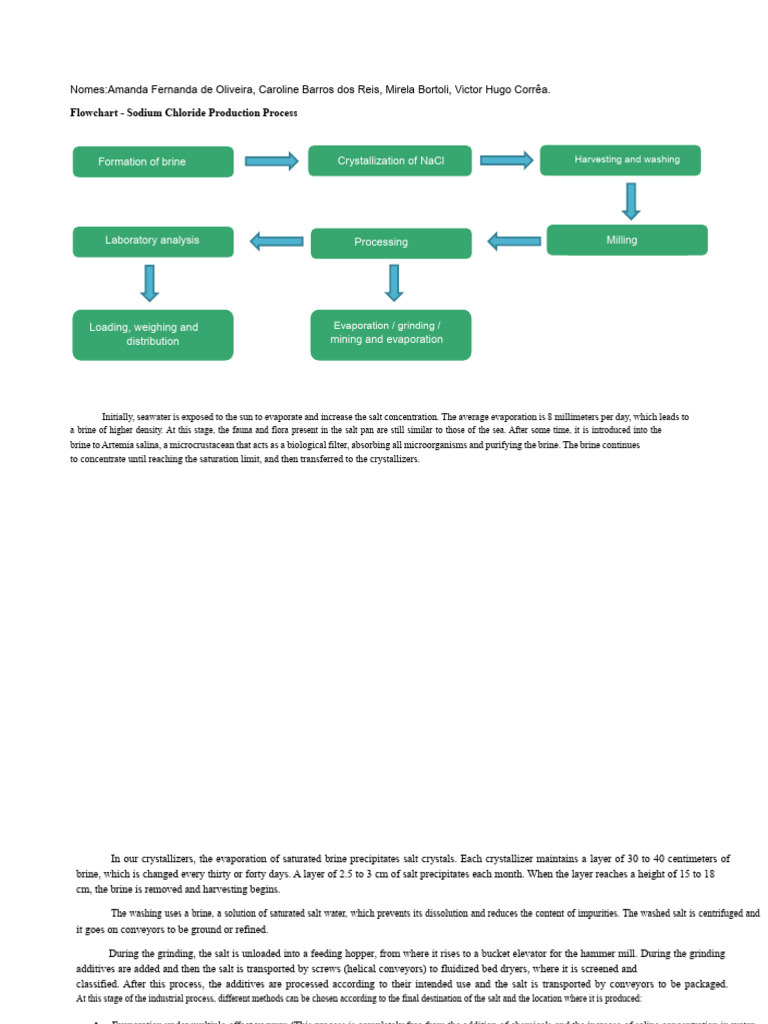 Sodium Chloride Production Process Guide | PDF | Sodium Chloride | Salt