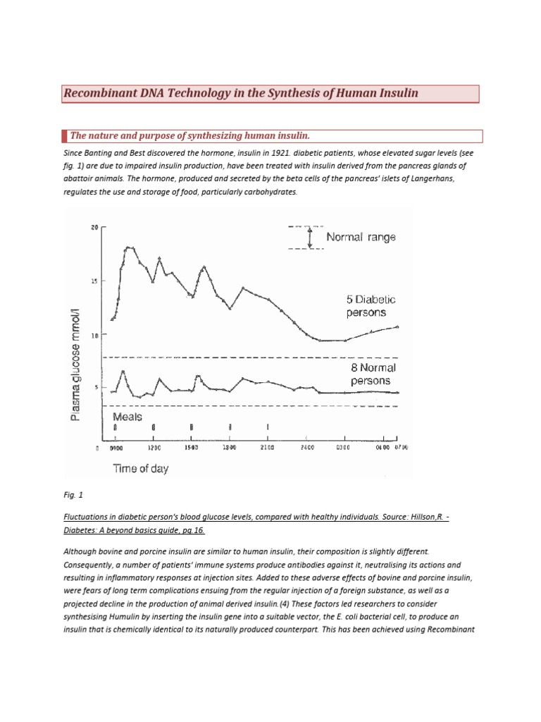 DNA Technology in the Synthesis of Human Insulin Insulin