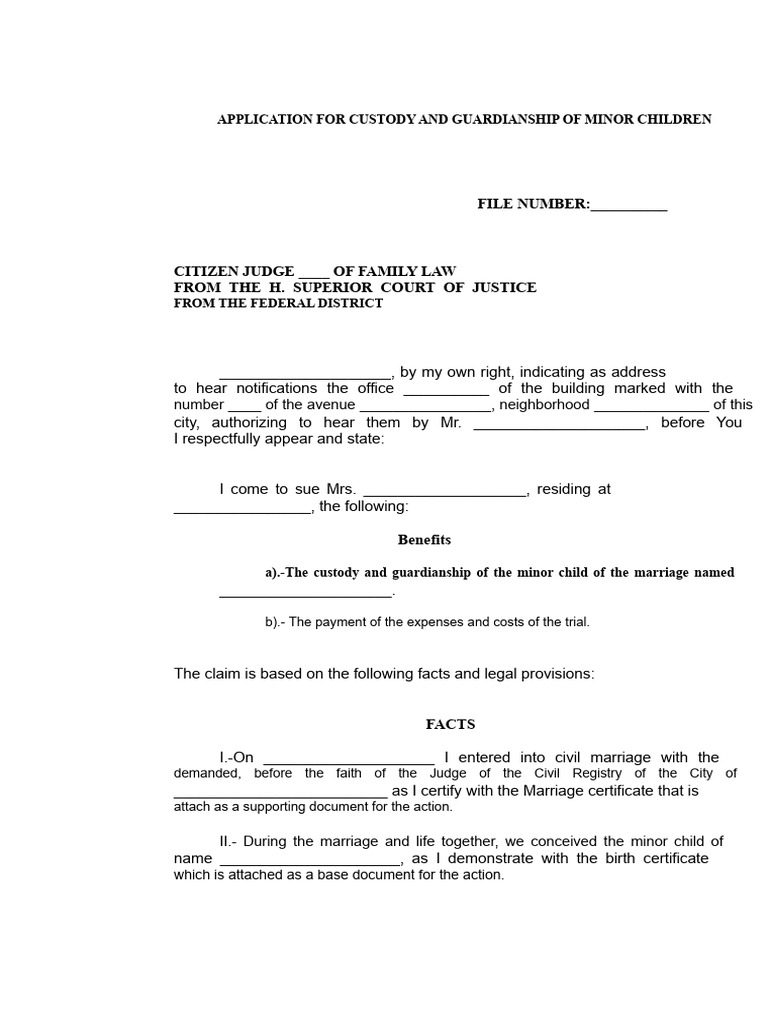 Custody Application for Minor Child | PDF | Child Custody | Judge