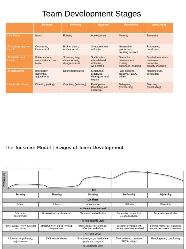 Team - Development - Stages Formats | PDF | Adolescence | Social Psychology