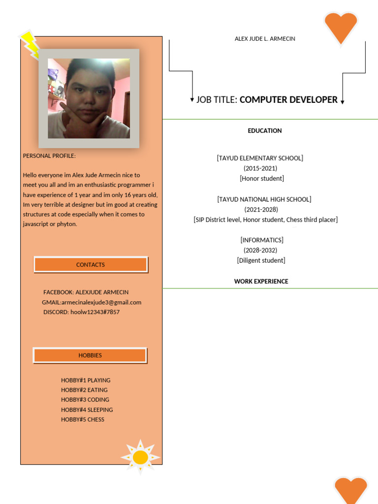Young Computer Developer Profile | PDF