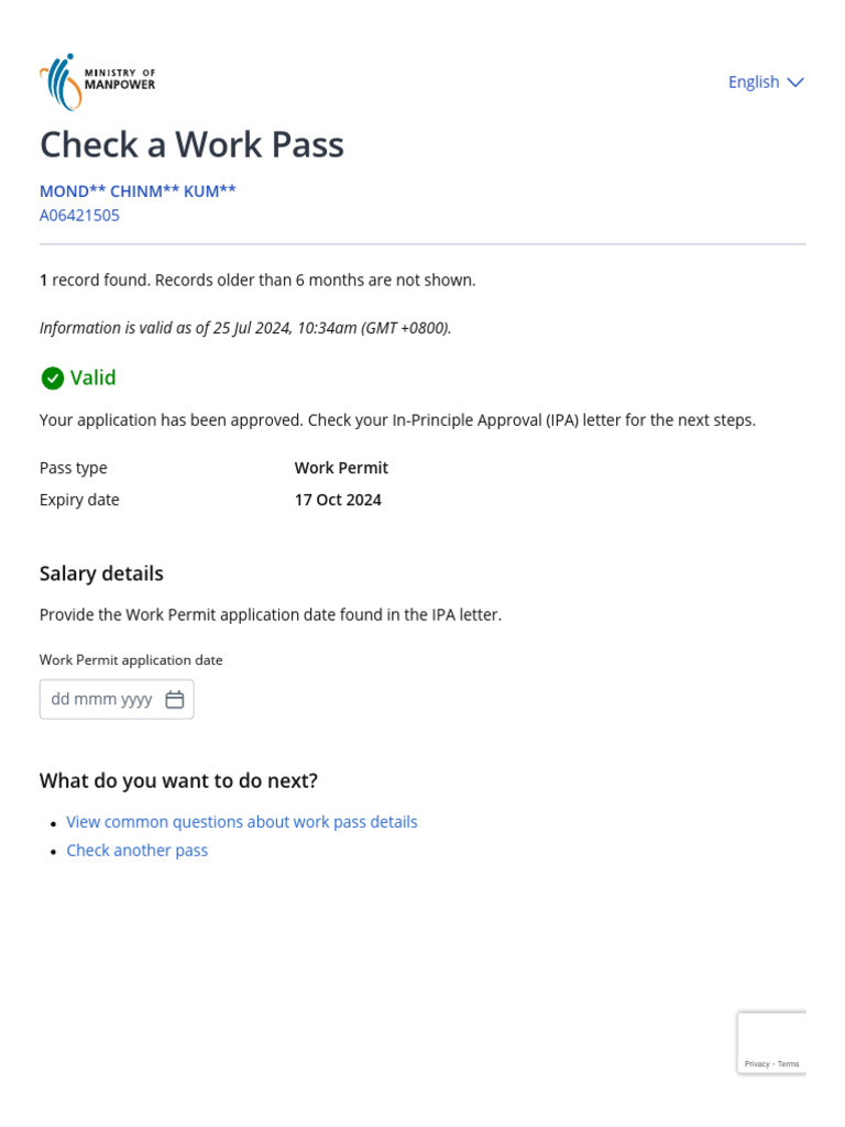 Work Permit Application Status Check | PDF