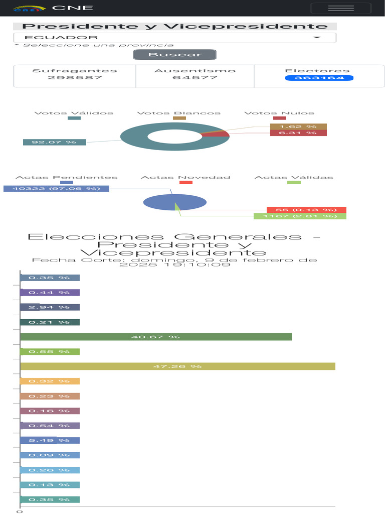 consejo-nacional-electoral-pdf