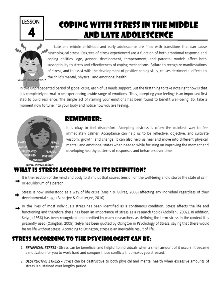 Coping with Adolescent Stress | PDF | Stress (Biology) | Adolescence