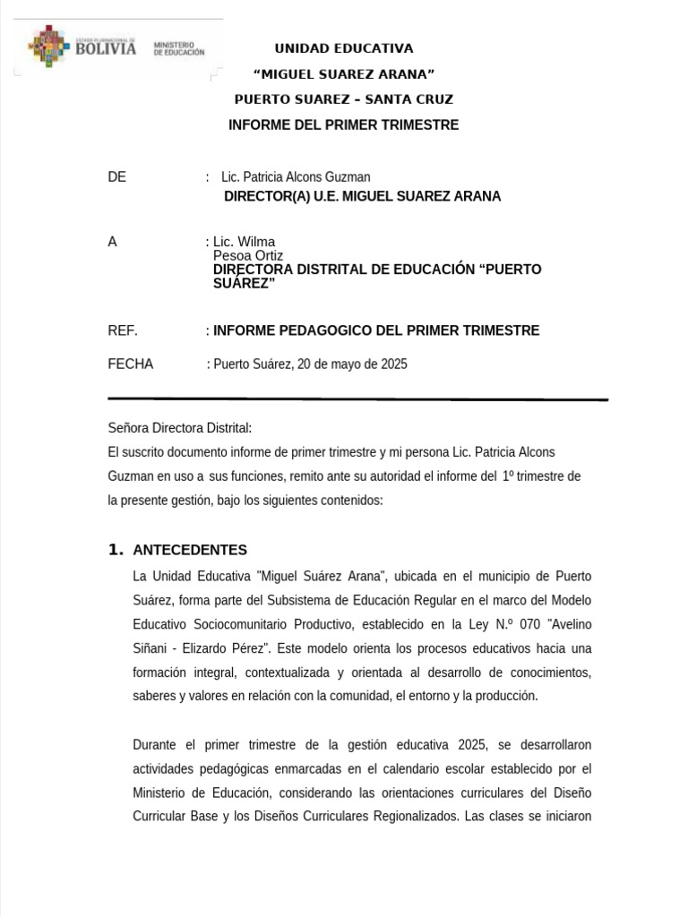 Informe Pedagógico Primer Trimestre 2025 | PDF | Educación primaria ...