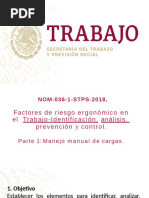 Medidas de Seguridad en Manejo de Cargas | PDF | Factores humanos y ...