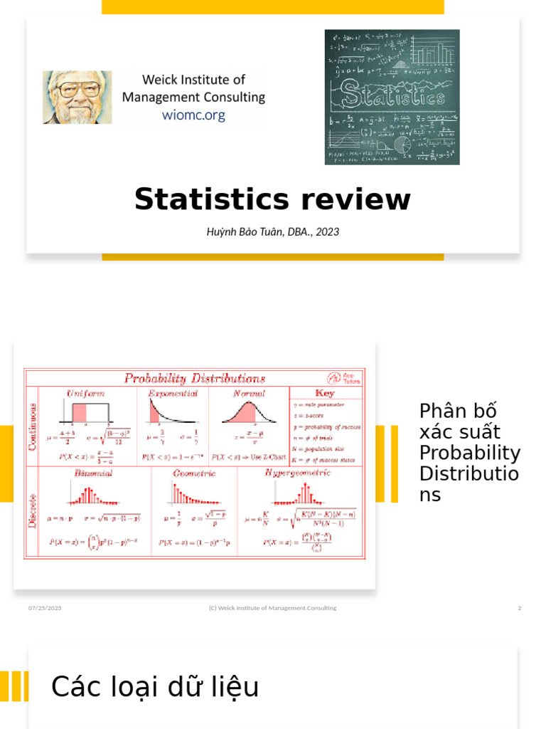 BB-2-Statistics Review | PDF