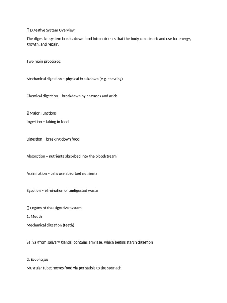 ? Digestive System Overview Notes | PDF