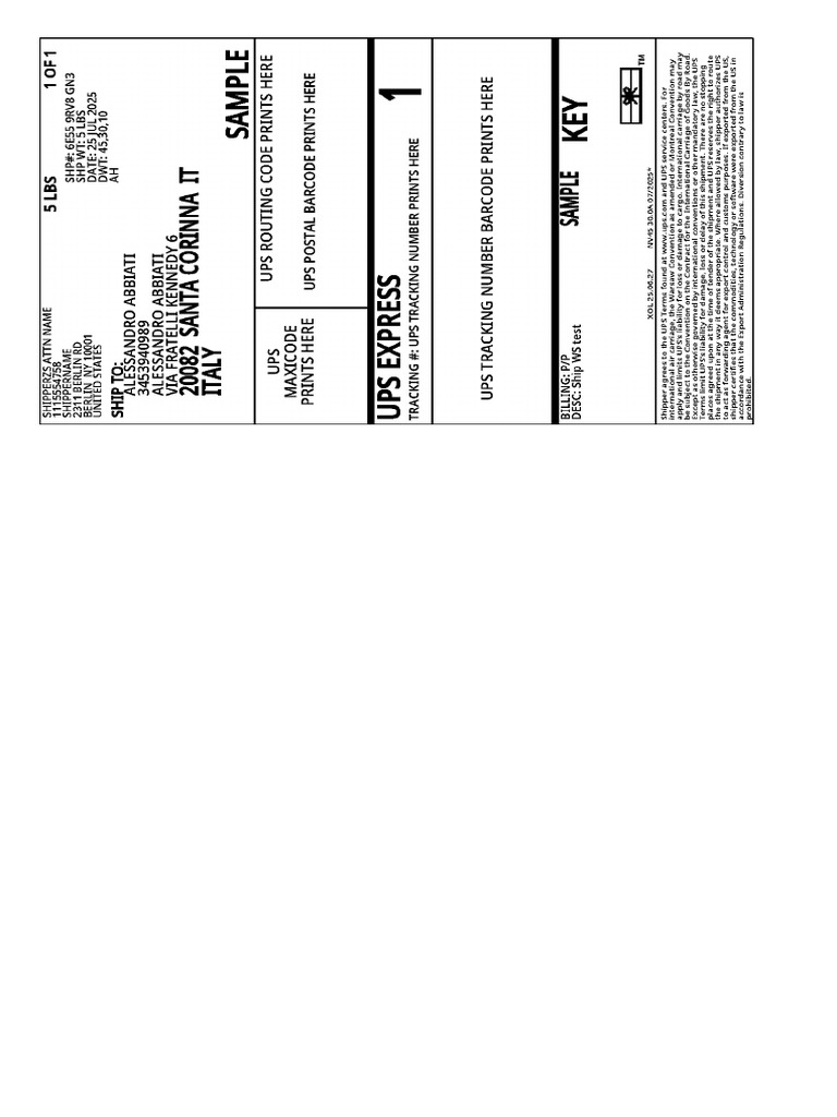 Ups Shipping 1zxxxxxxxxxxxxxxxx Label | PDF