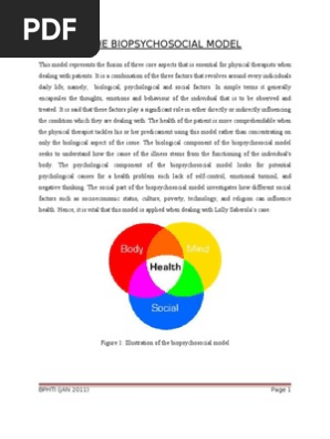 The Biopsychosocial Model