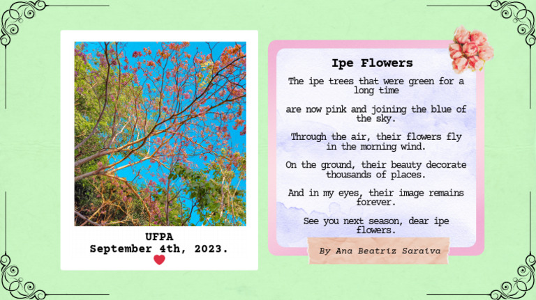 Ipe Flowers | PDF