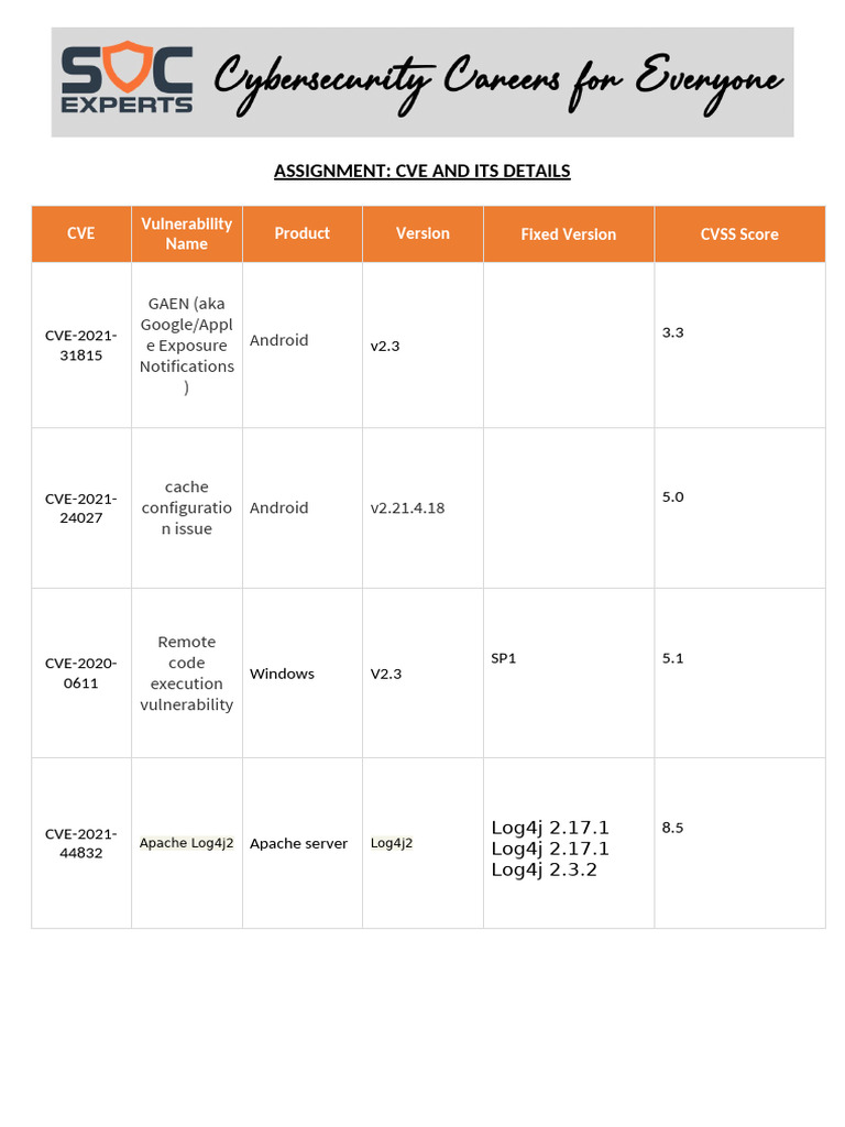 CVE Vulnerabilities and Details Summary | PDF