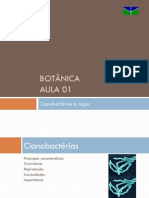 Cianobactérias