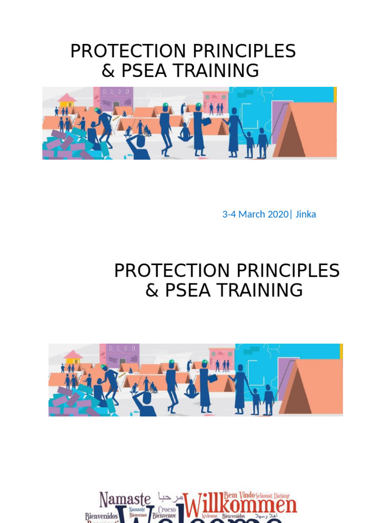 Understanding Perpetrators in PSEA Training | PDF | Sexual Harassment ...