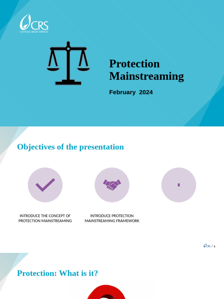 Principles of Protection Mainstreaming | PDF | Violence | Safety