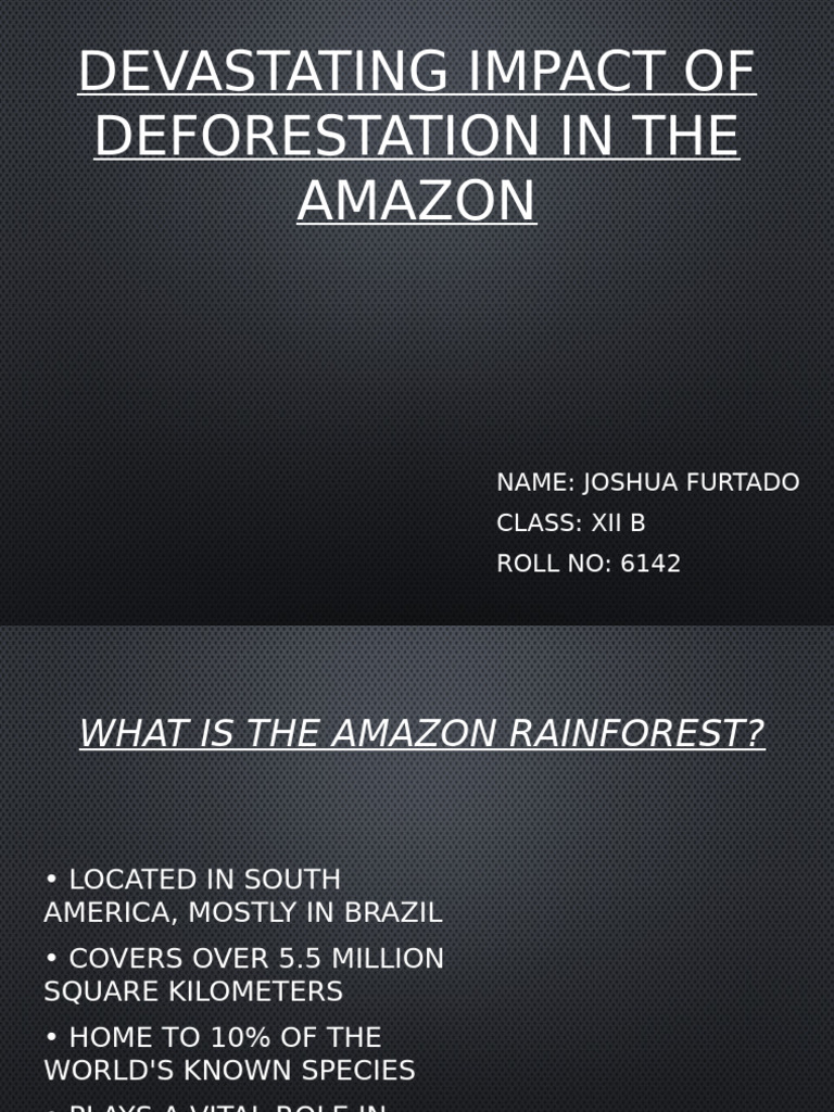 The Impact of Deforestation in The Amazon Forests | PDF | Deforestation ...