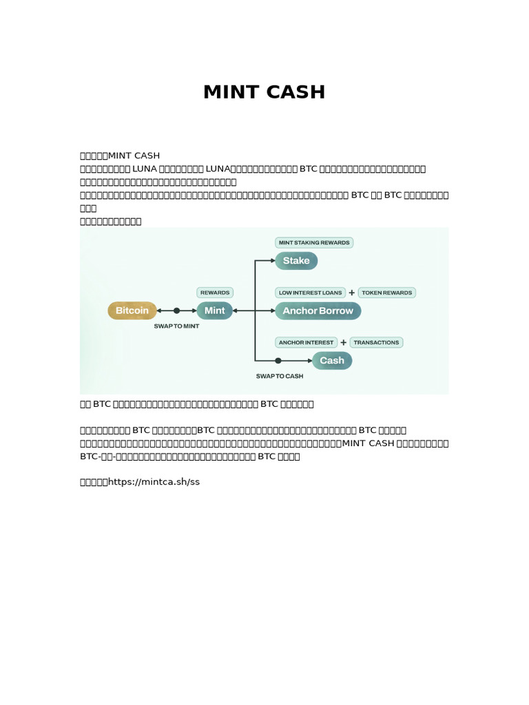 Mint Cash | PDF